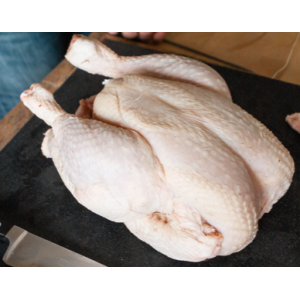 Coq/ coq decoupe pour cuisine en sauce