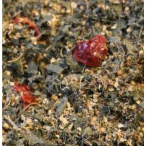 Tisane 'la philanthrope'