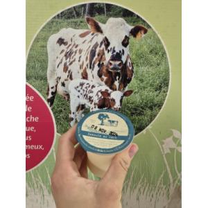 Semoule dessert au lait nature