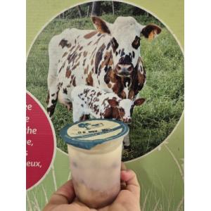 Semoule dessert au lait sur lit de framboise