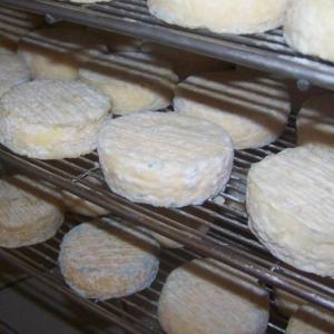 Bon gros de chèvre mi-sec