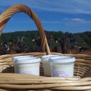 Yaourts de chèvre par 4