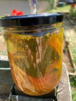 Pickles de courgette au curcuma