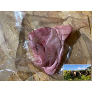 Oreille de porc - porc plein air