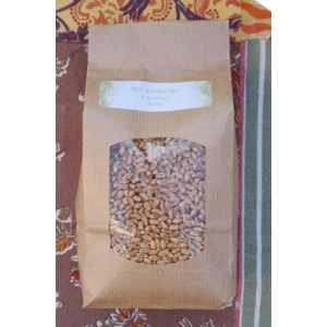 Blé à cuisiner bio