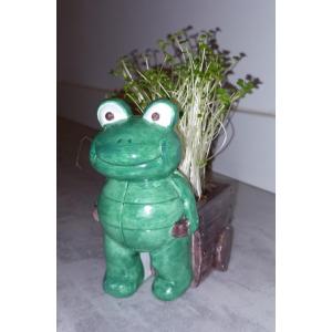 Kit de culture de micro pousses et mini pot