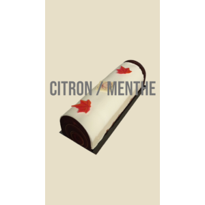 Bûche de noël citron-menthe