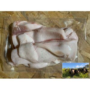 Gras de porc - porc plein air