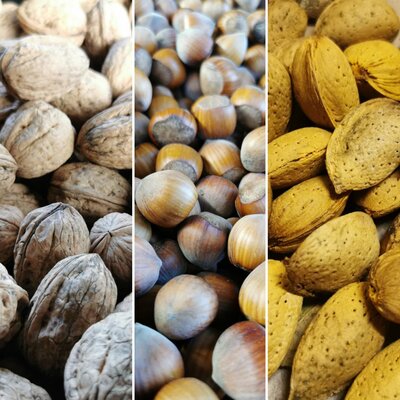 Noix, noisettes et amandes