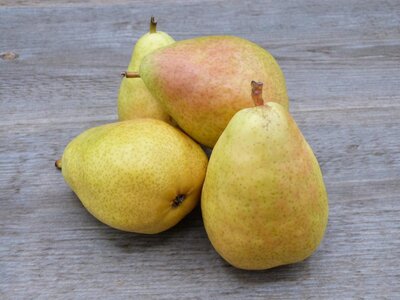 Poires harrow sweet