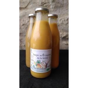 Soupe de 6 légumes