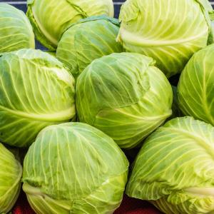 1/2 chou vert lisse