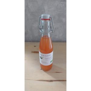 Sirop rhubarbe