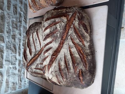 Pain de cissey en 2kg