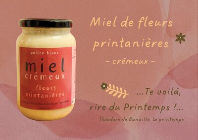 Miel crémeux de fleurs printanières - 500g