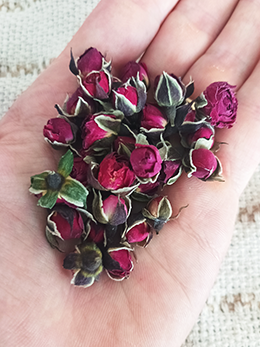 Boutons de roses
