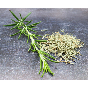 Romarin en aiguilletes