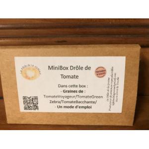 Minibox drôles de tomates (graines à semer)
