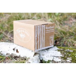 Bib de 3 litres de sève de bouleau fraîche.