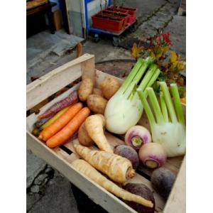 Petit panier de légumes biologique