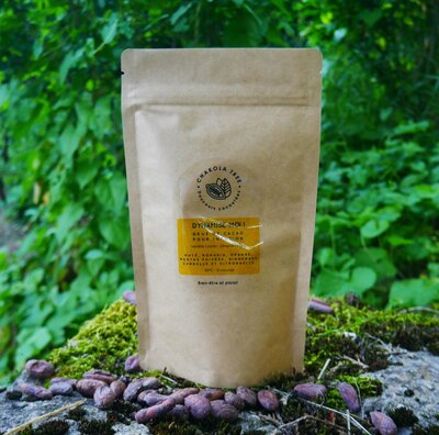 Grué de cacao pour infusion - dynamise-moi !