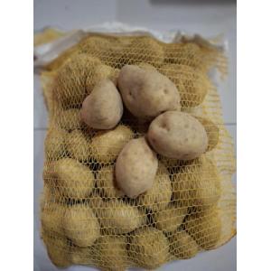 Pomme de terre bio agria 5 kg