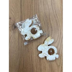 Lapin coquin au chocolat et au pralin