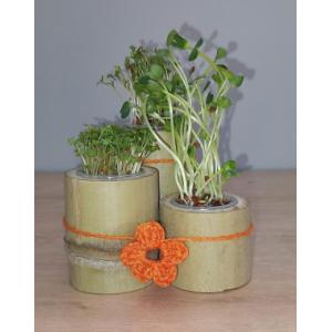 Radis-cresson-roquette trio micro pousses