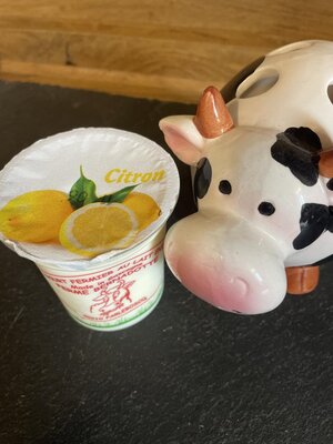 Yaourt citron