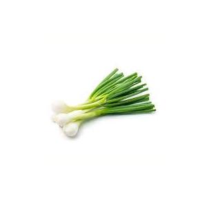 Oignon blanc botte