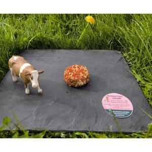 Fromage frais  italien lait cru de vache