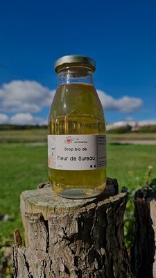 Sirop bio de sureau