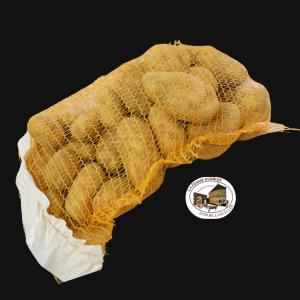 Pommes de terre celtiane recolte 2025