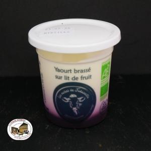 Yaourt aux myrtilles bio