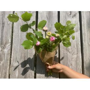 Fleurs - renoncules et feuillage