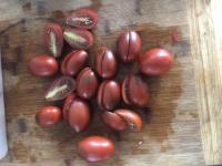 Tomate black plum (plant)