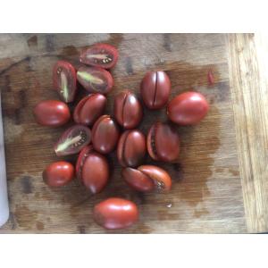 Tomate black plum (plant)