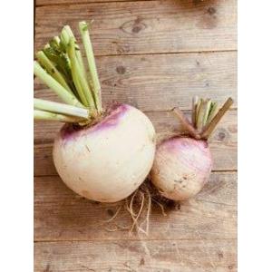 🥬 navets bio – 1kg