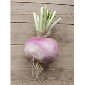 🥬 navets bio – 500g