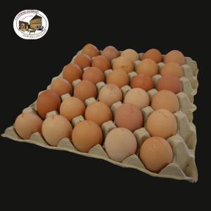 Oeufs fermiers plein air- plaque de 30