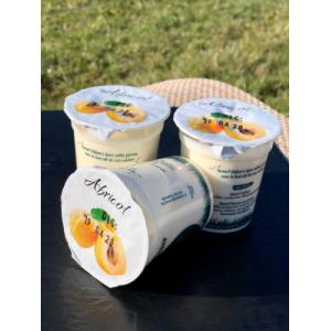 Yaourt abricot