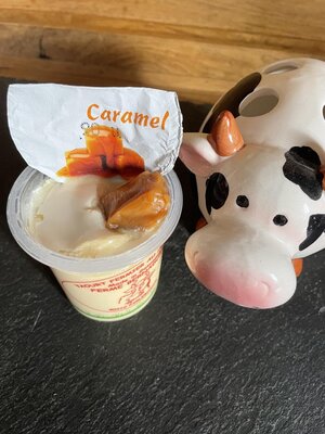Yaourt caramel