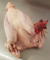 🍗 poulet entier -  entre 1,9 kg et 2 kg
