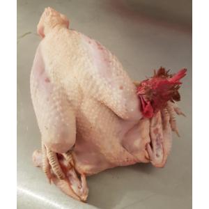 🍗poulet entier - entre 1,6 kg et 1,7 kg
