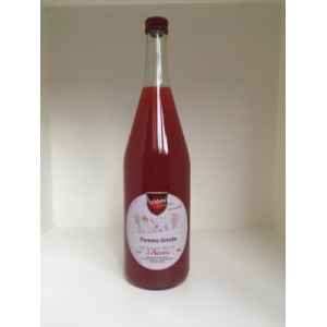 Jus de pomme sureau 1l
