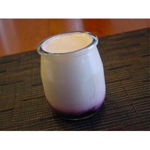 Panna cotta framboise