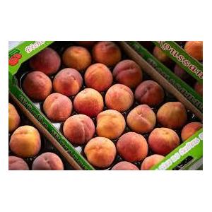 Pêche roussanne - plateau de 4,5kg env.