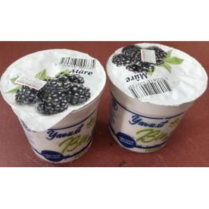 Yaourt brassé mûre lehmann bio 2 x 125gr