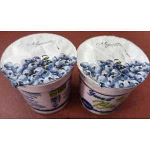 Yaourt brassé myrtille lehmann bio 2 x 125gr