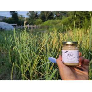 Aillade au miel (tartinade d'ail aromatisée)